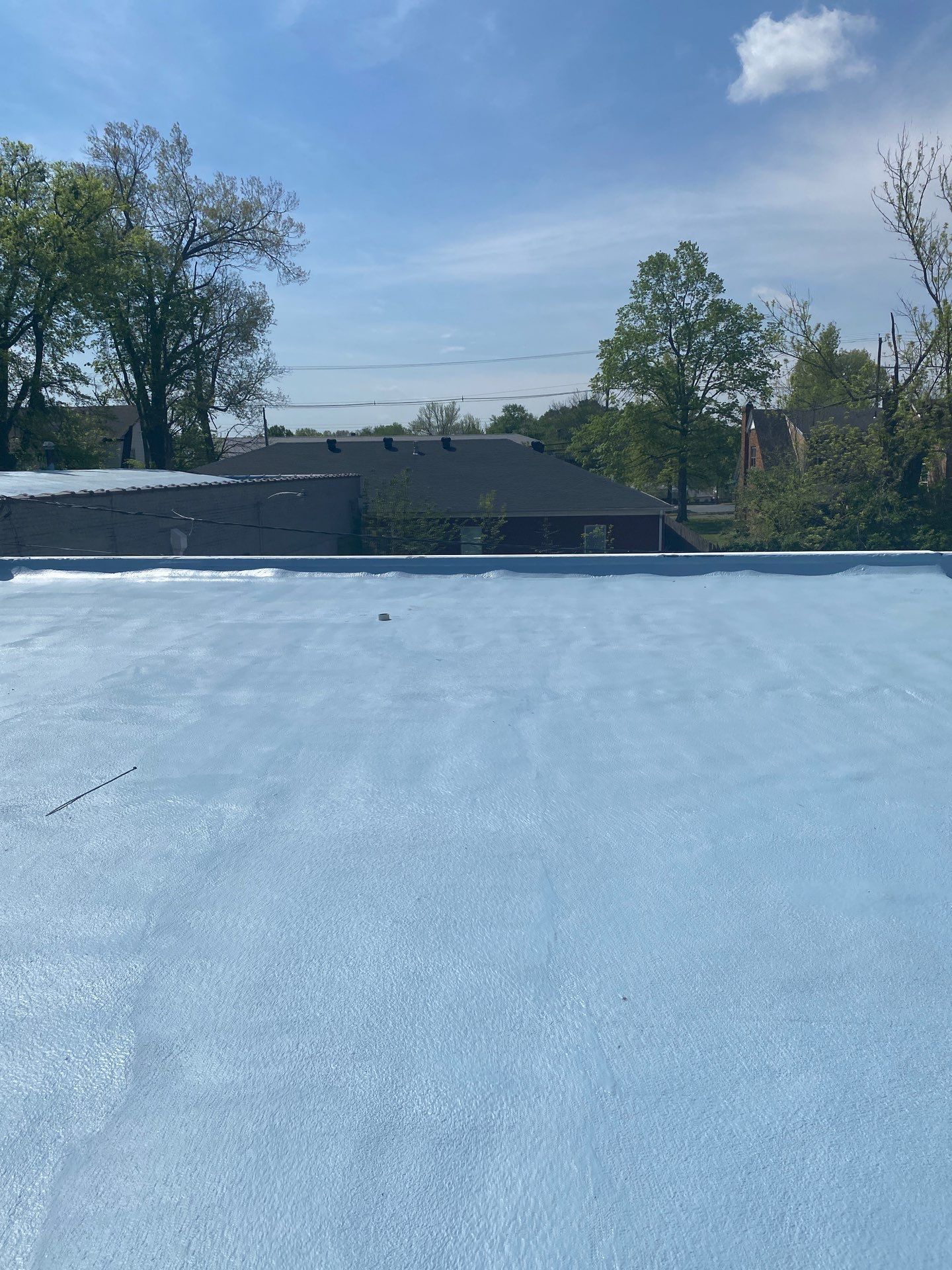 A blue roof with trees in the background and a blue sky