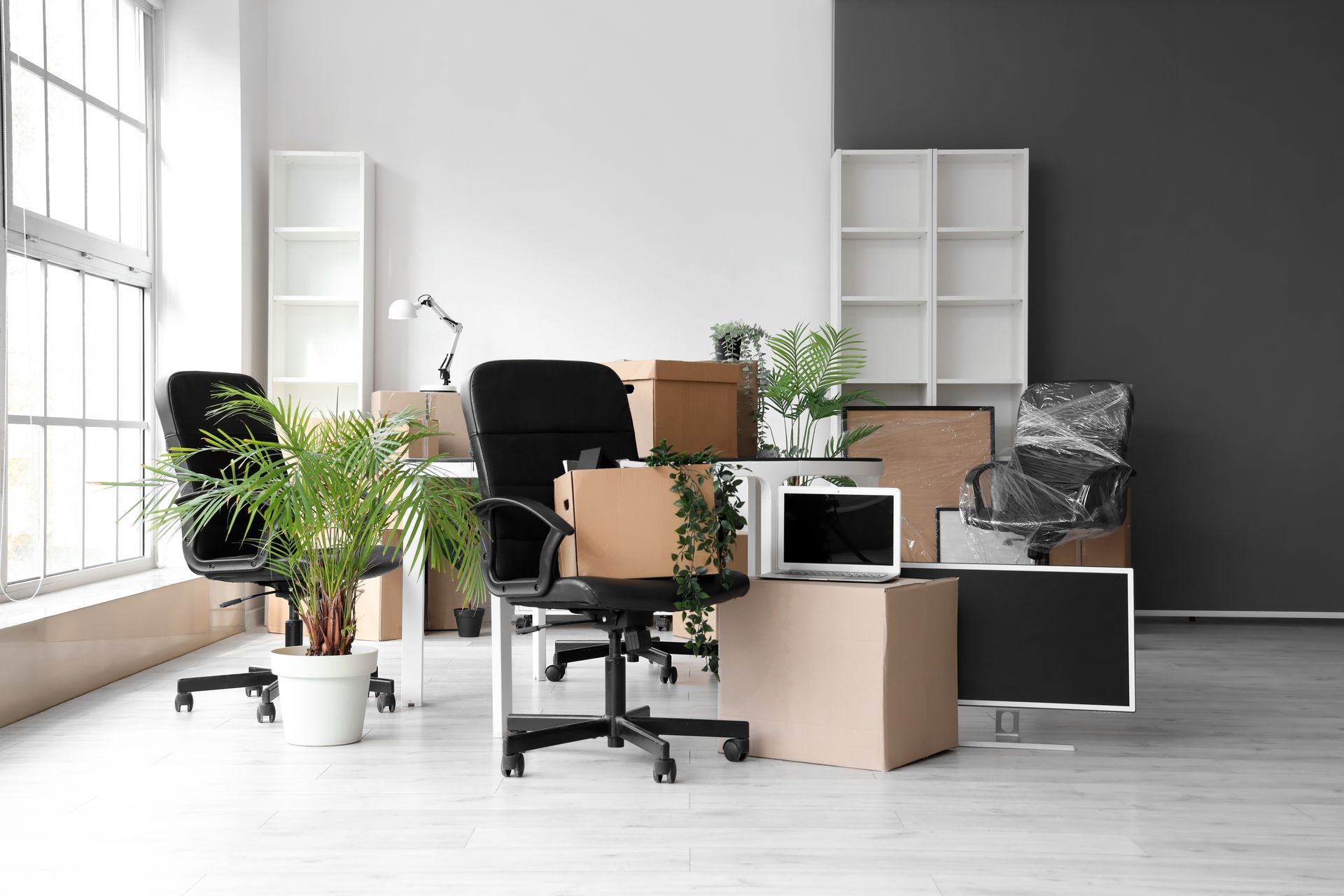 Modern office with chairs, desks, plants, and shelving in a bright minimalist room