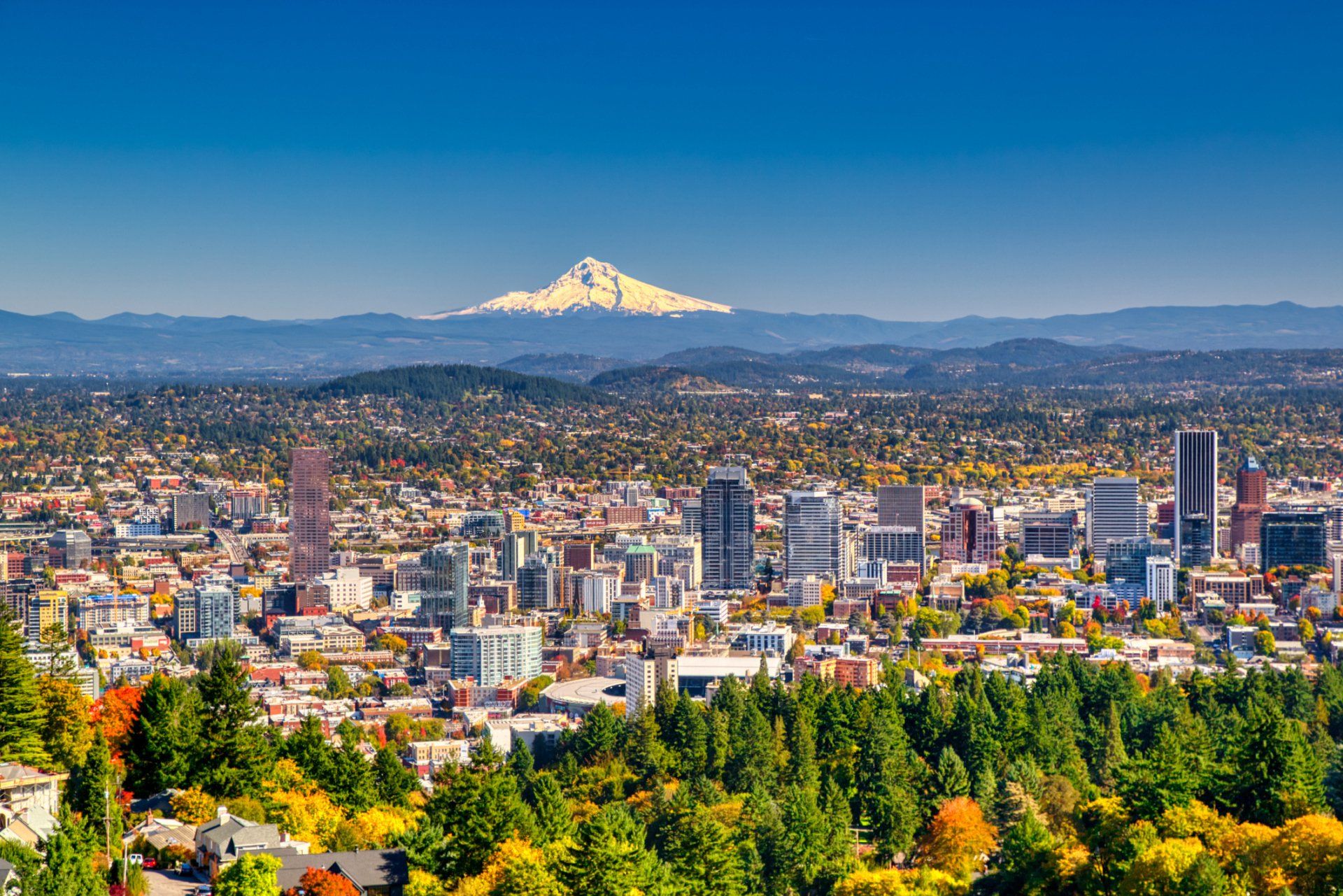 Portland