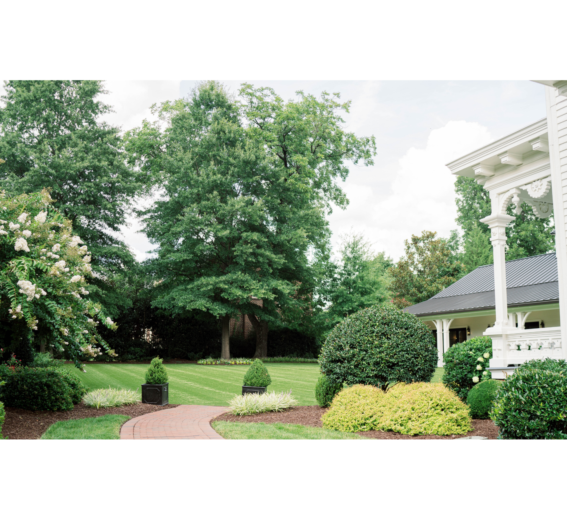 wedding in downtown Raleigh North Carolina