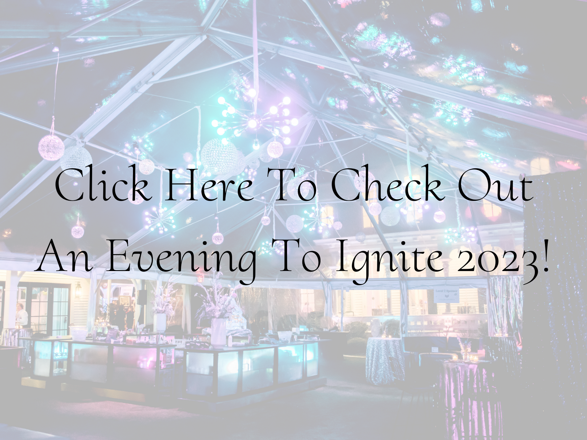 An Evening to Ignite 2023 at Merrimon-Wynne in Raleigh, NC benefitting Neighbor To Neighbor