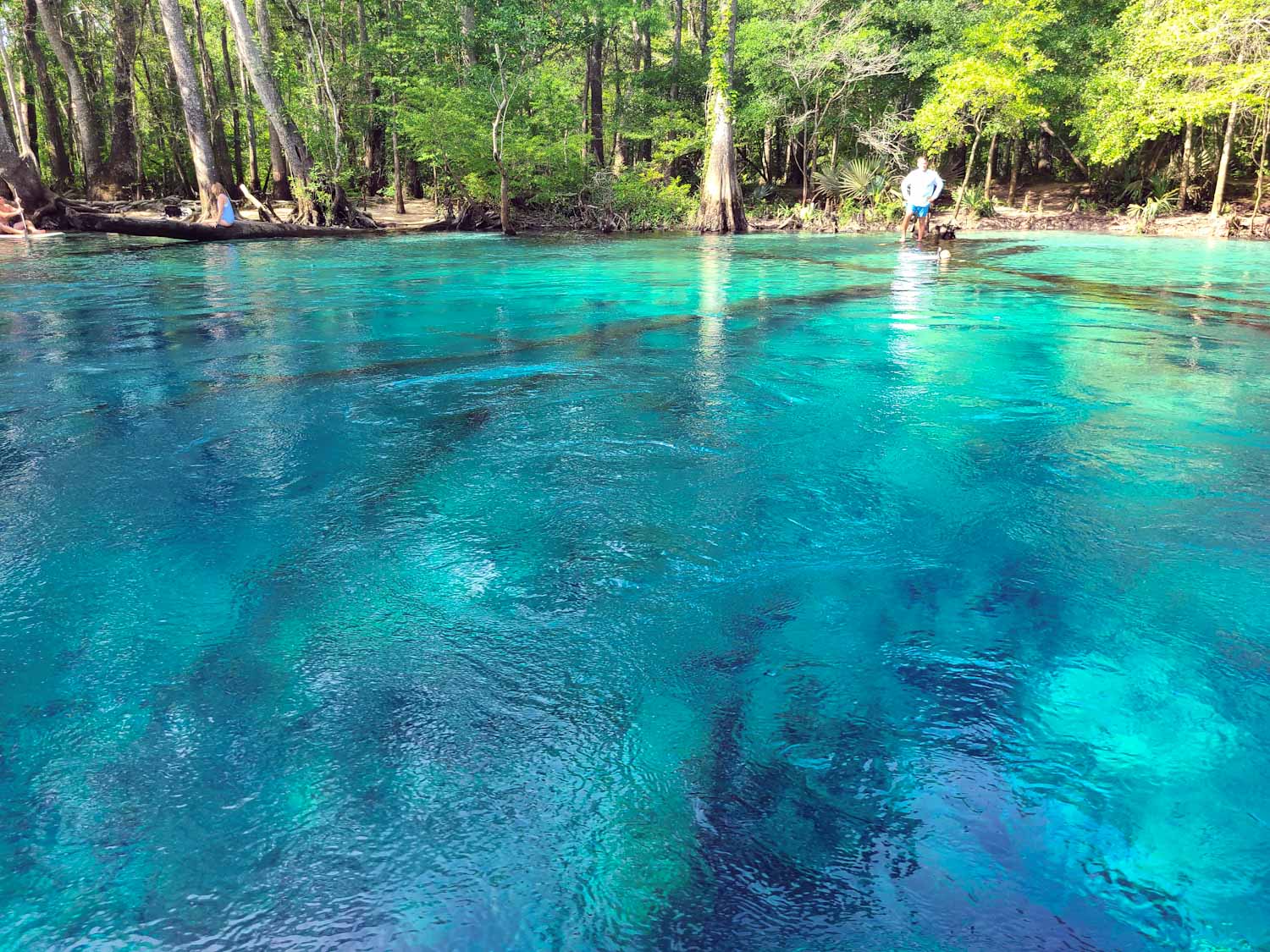 Cypress Springs Vernon, FL Canoe Kayak Paddleboards