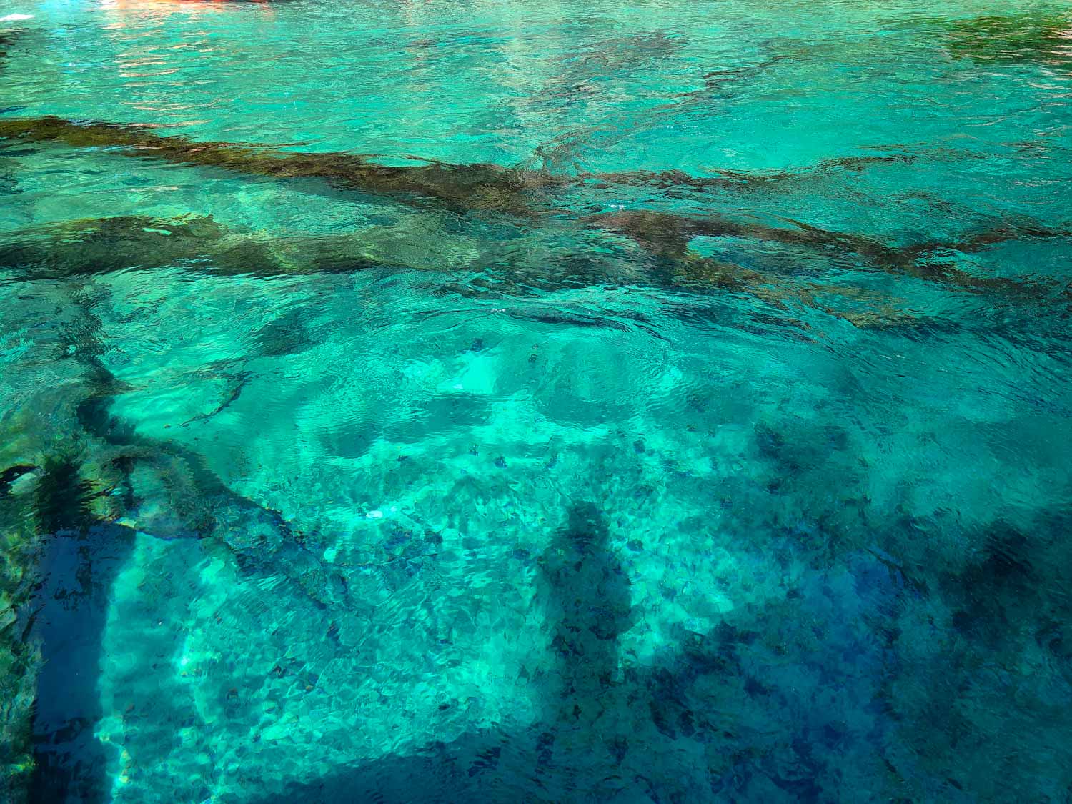 Cypress Springs Vernon, FL Canoe Kayak Paddleboards