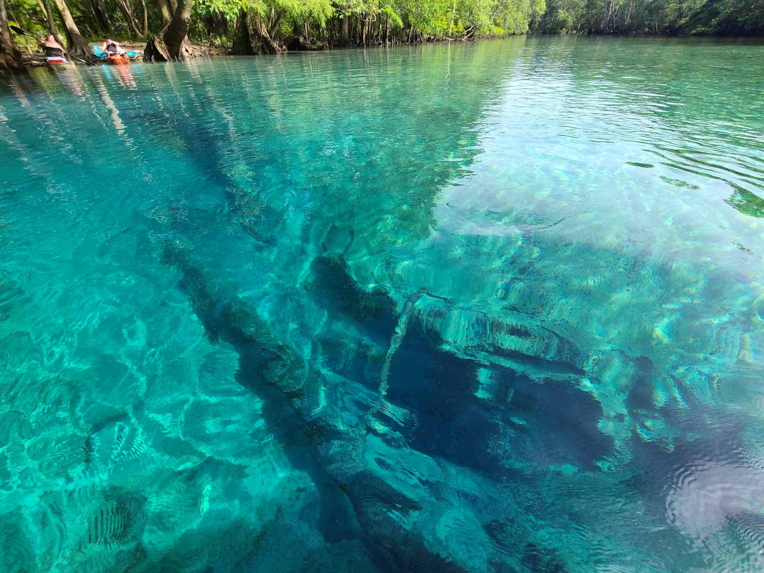 Canoe Adventures | Cypress Springs | Vernon, FL | Kayaks | Canoes | Paddleboards
