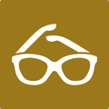 Eyeglass Icon