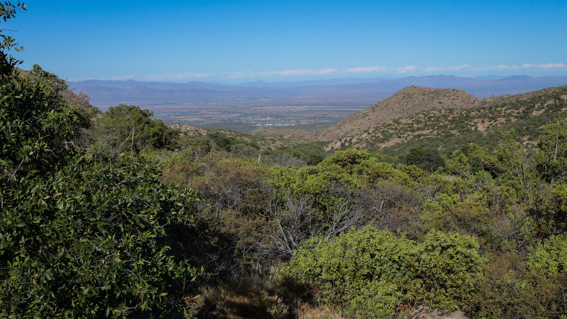 Our Location McDougal Caldwell Funerals & Cremations