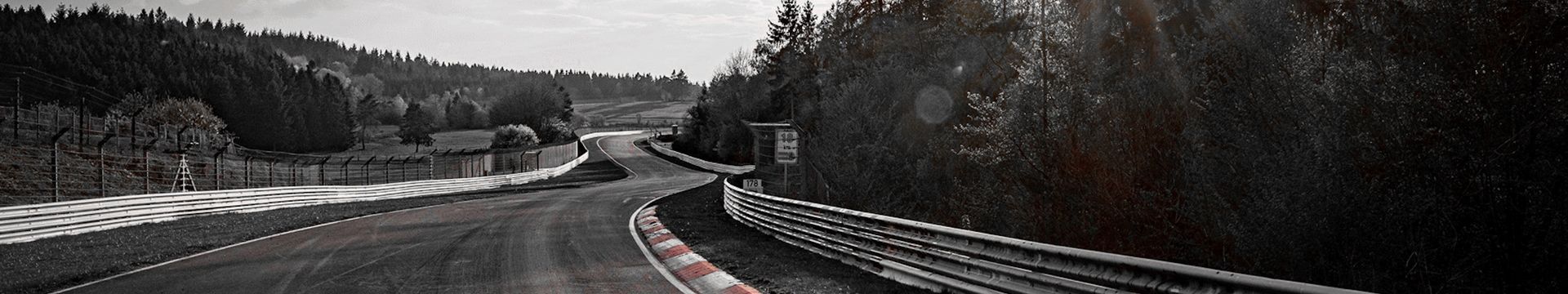 Kurvenreiche, nasse Straße durch eine bewaldete Landschaft mit Leitplanken auf beiden Seiten unter einem bedeckten Himmel