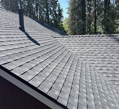 A high-angle view of a grey shingled roof with a black chimney vent, set against a background of tall green pine trees.