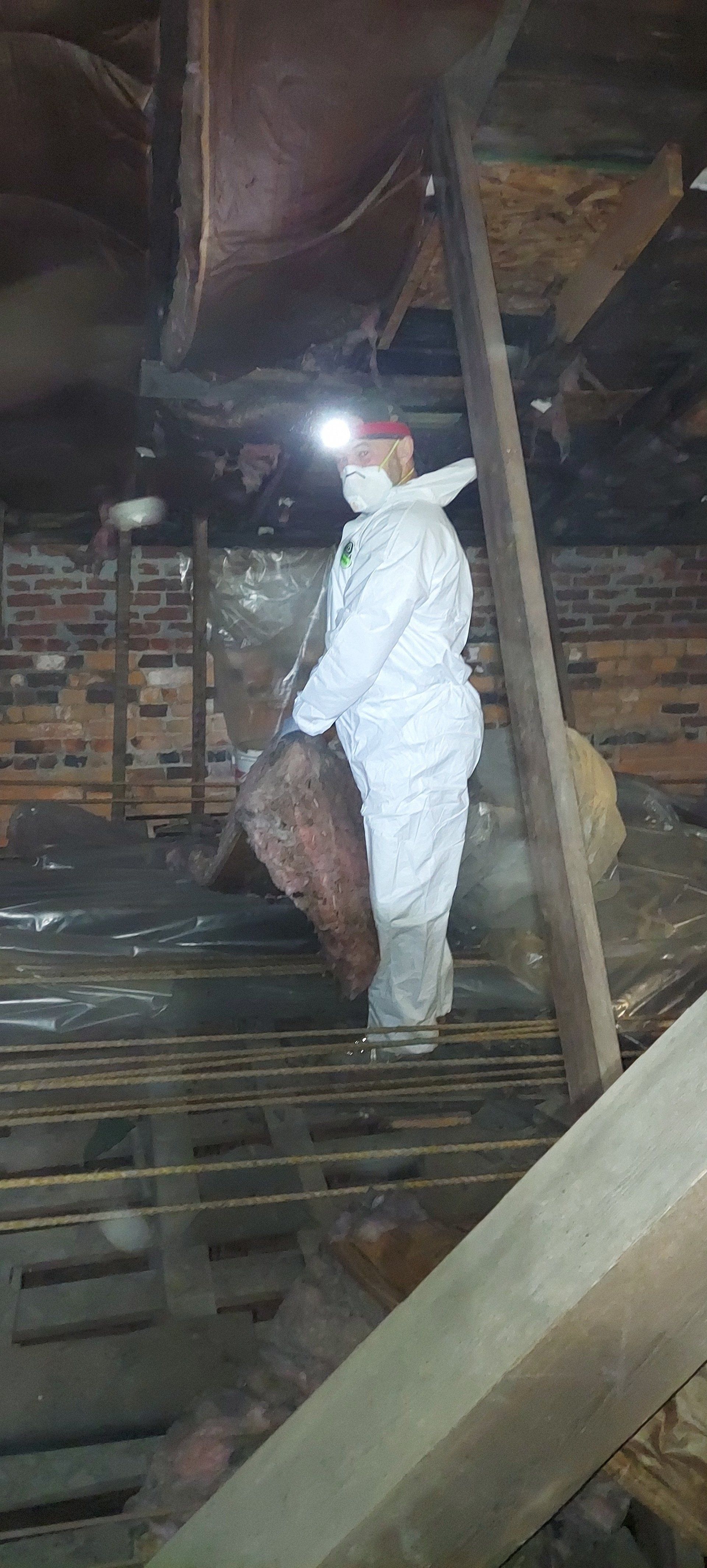 A man in a protective suit is working in an attic.