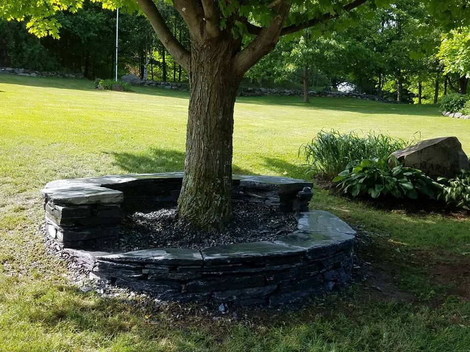 Stone bench built around a tree trunk in a grassy yard.