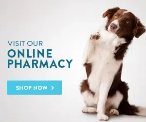 Brown and white dog sitting with paw raised, advertising an online pharmacy.