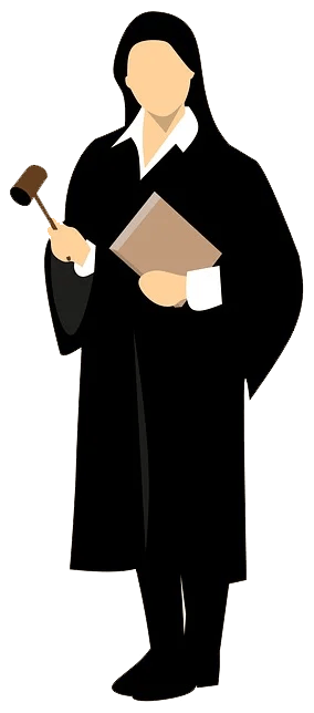 lawyer-attorney-barrister