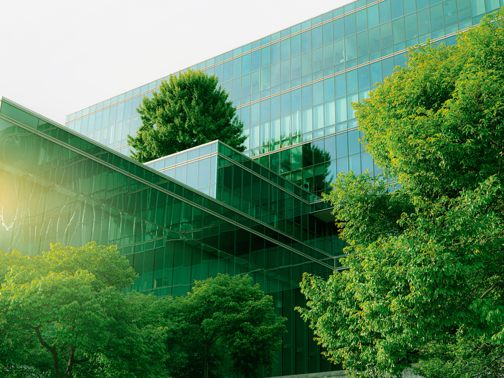 A modern building surrounded by trees