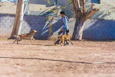 ATP ADIESTRAMIENTO CANINO