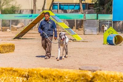 ATP ADIESTRAMIENTO CANINO