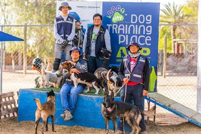 ATP ADIESTRAMIENTO CANINO