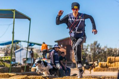 ATP ADIESTRAMIENTO CANINO