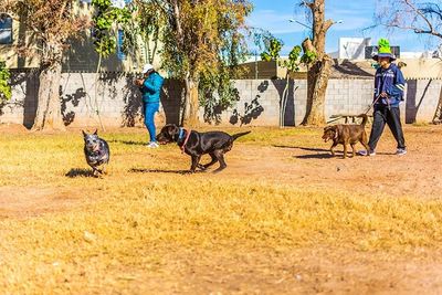 ATP ADIESTRAMIENTO CANINO