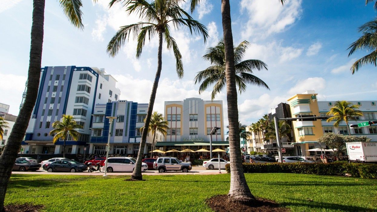 A city street with palm trees in the foreground and buildings in the background.