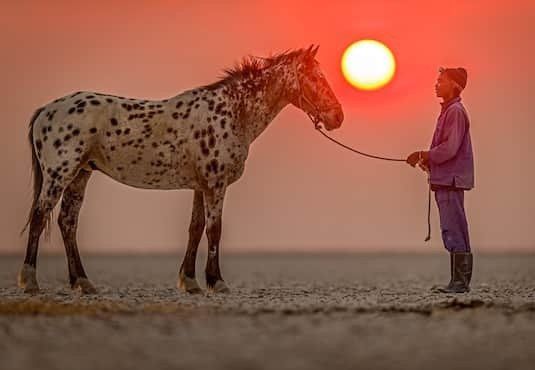en mand står ved siden af ​​en hest i ørkenen ved solnedgang.
