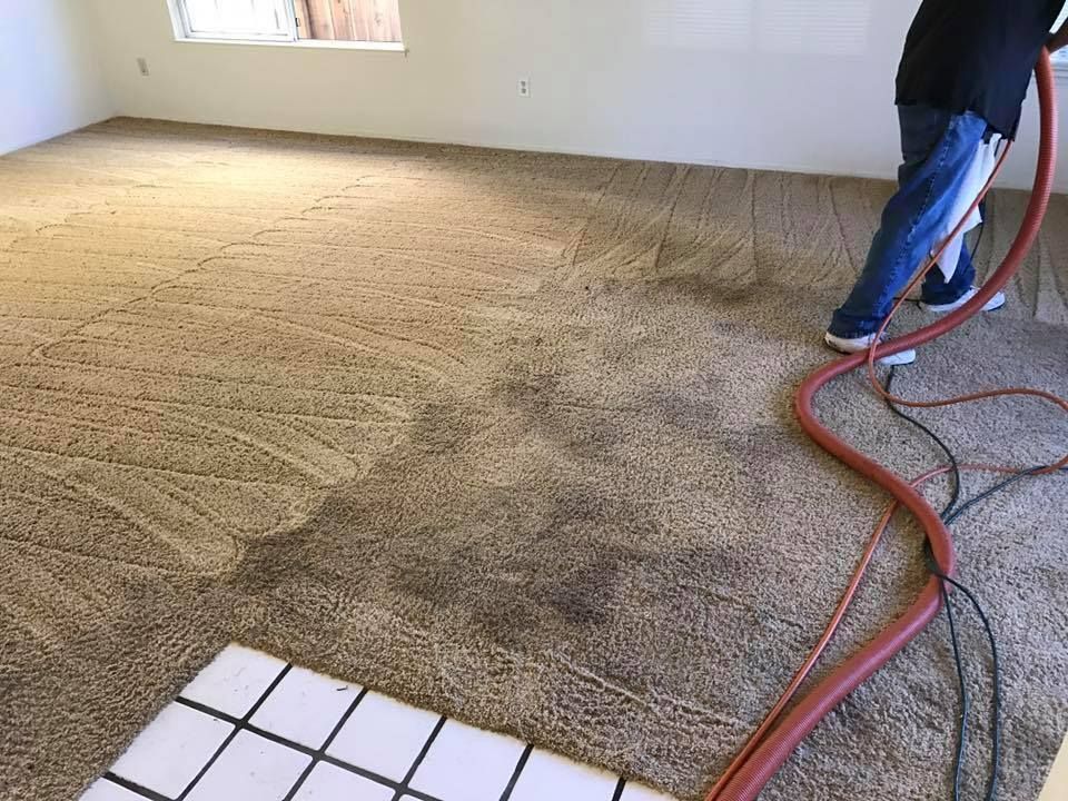Rug Cleaning Greenfield, CA 8313209690