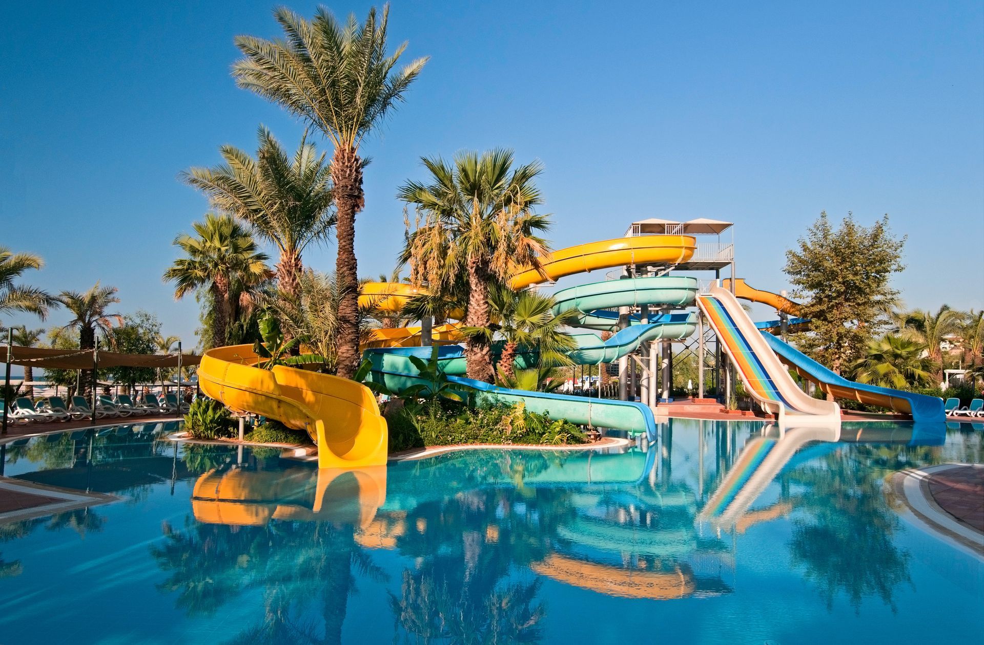 a water park with lots of slides and palm trees