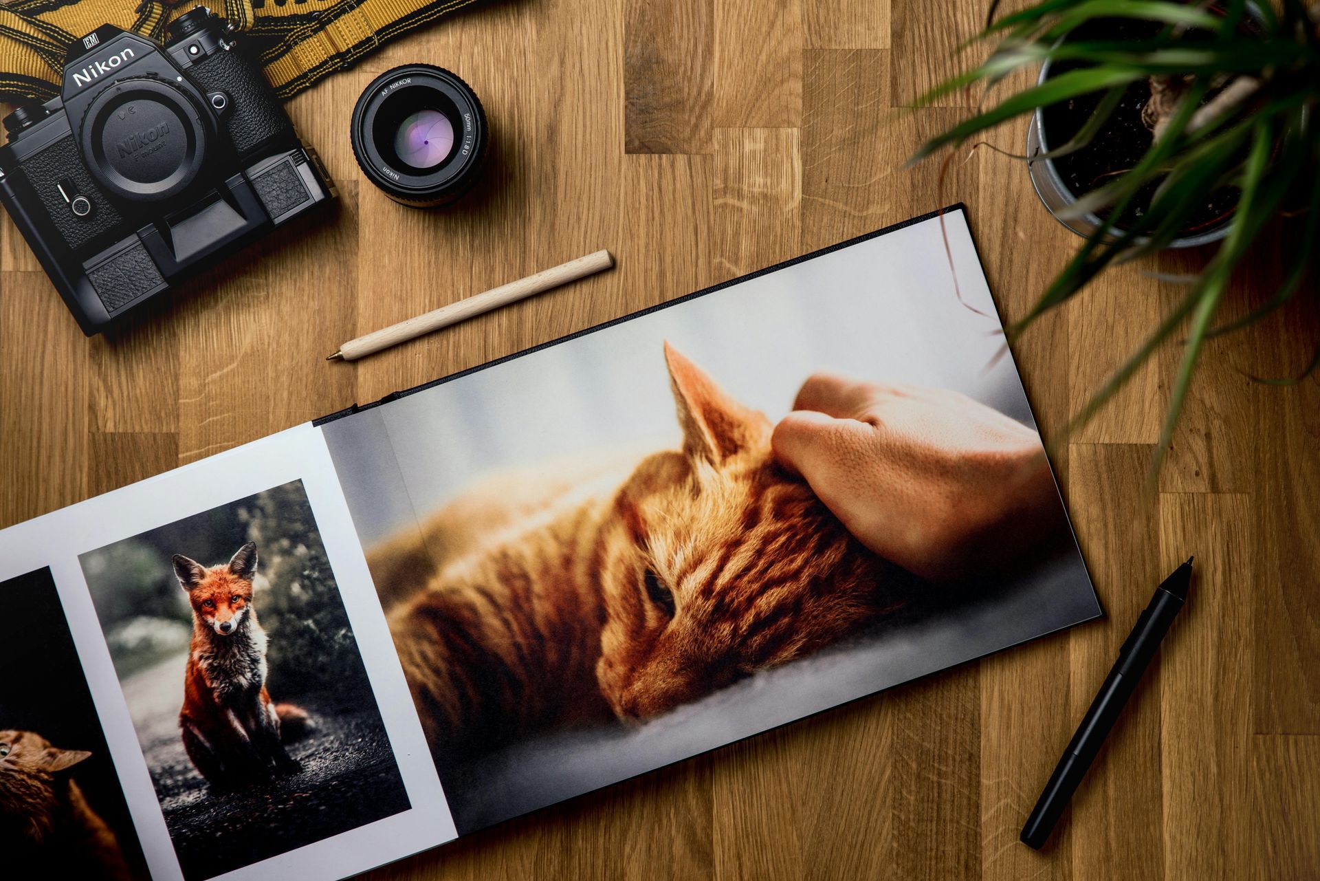 Photo Books