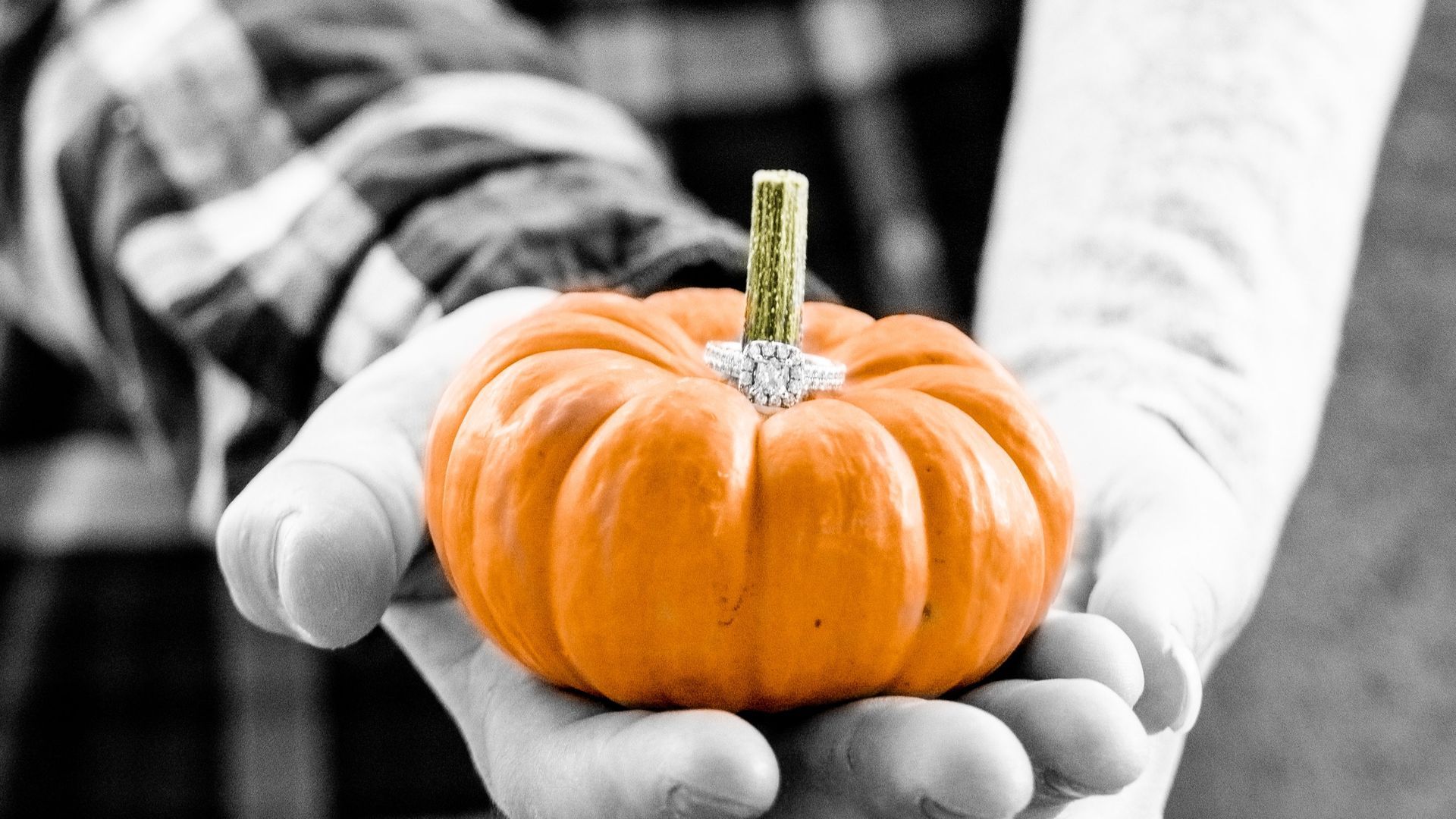 Orange pumpkin held in cupped hands, partially in black and white.