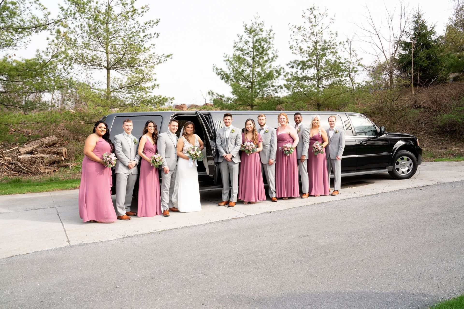 Wedding party posing by a black limousine. Bride in white dress, bridesmaids in pink, groomsmen in gray suits.