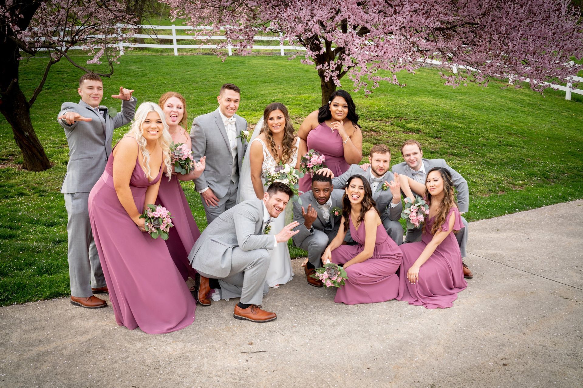 Wedding party poses outdoors under a pink flowering tree. People wear grey suits and mauve dresses, smiling.