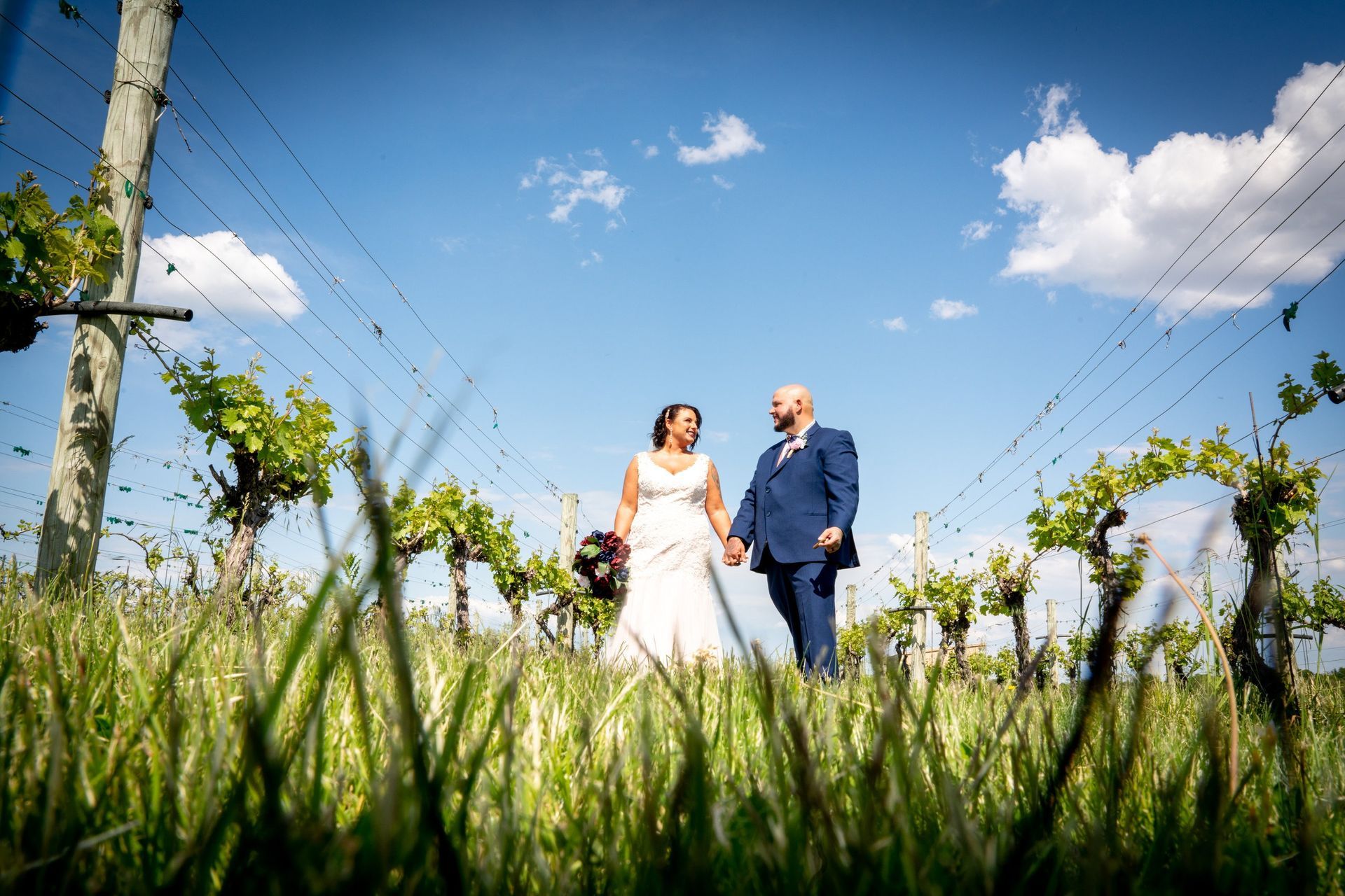 Newlyweds hold hands in a vineyard, sunny day, blue sky with clouds.