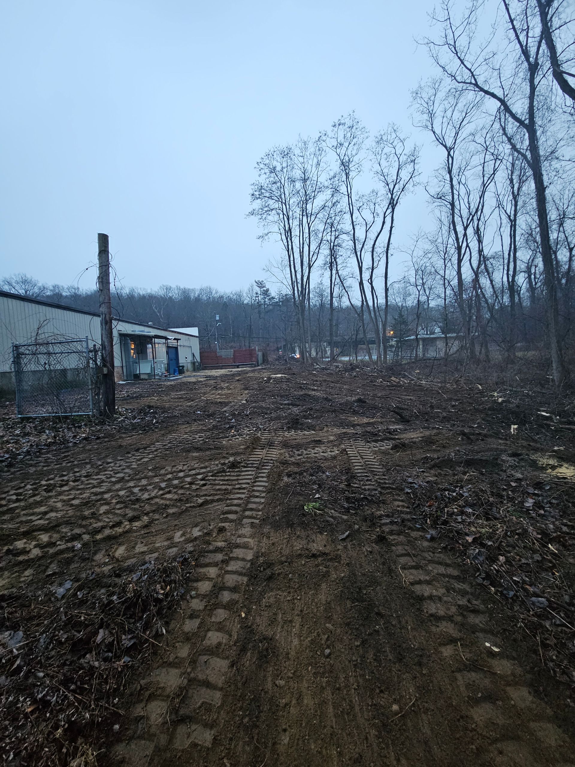 Trees Excavation
