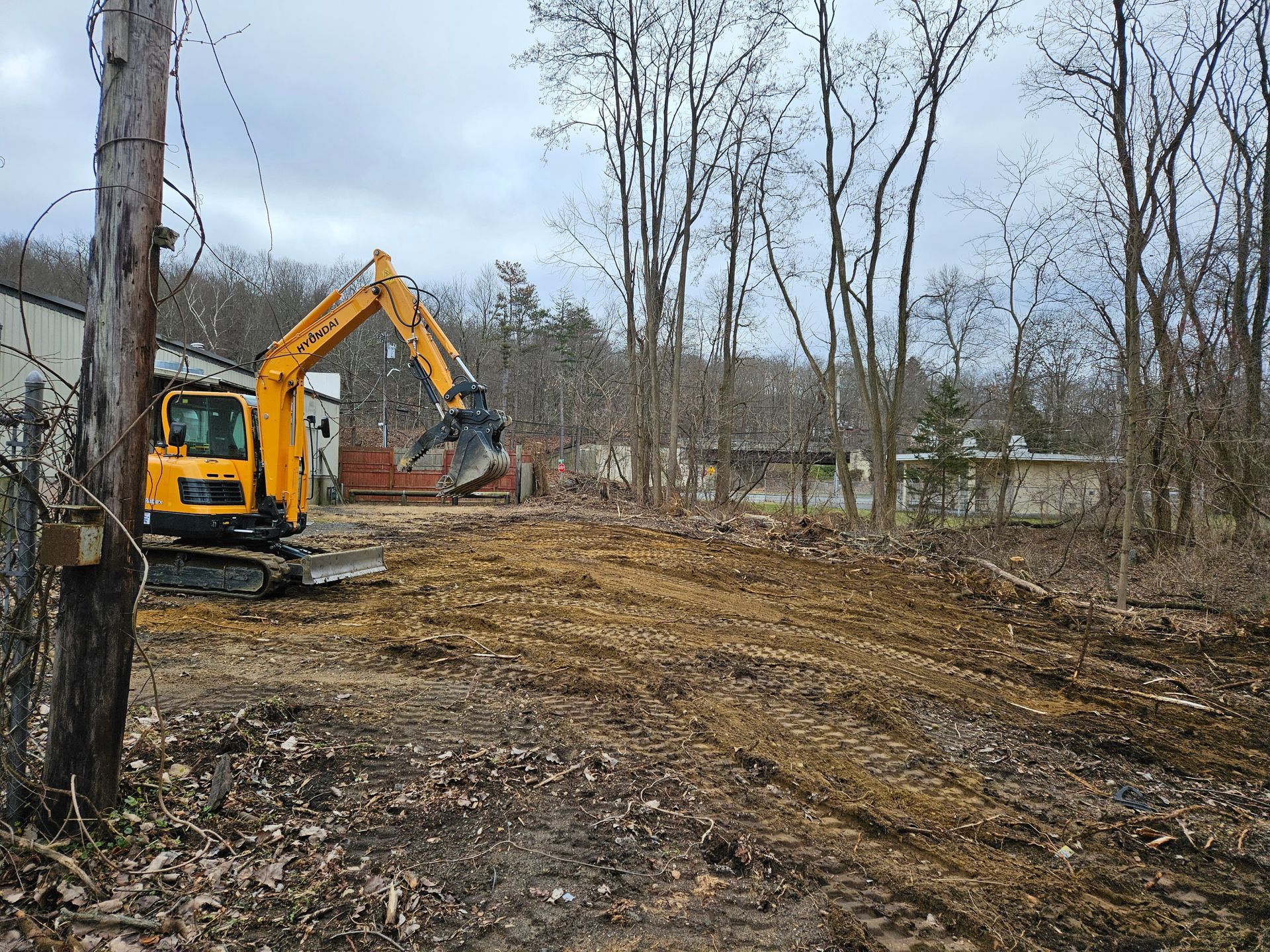 Trees Excavation