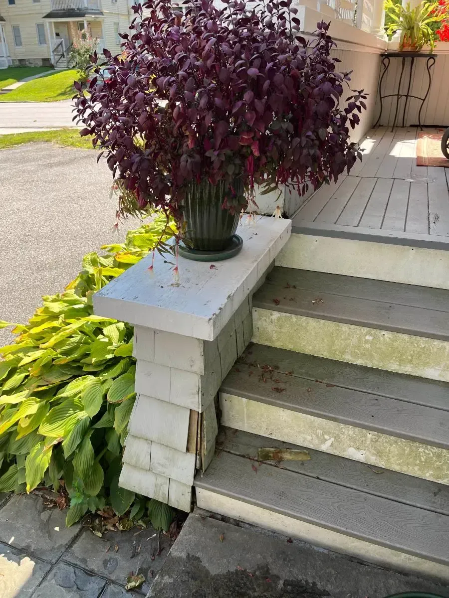 A potted plant is sitting on a porch next to a set of stairs.