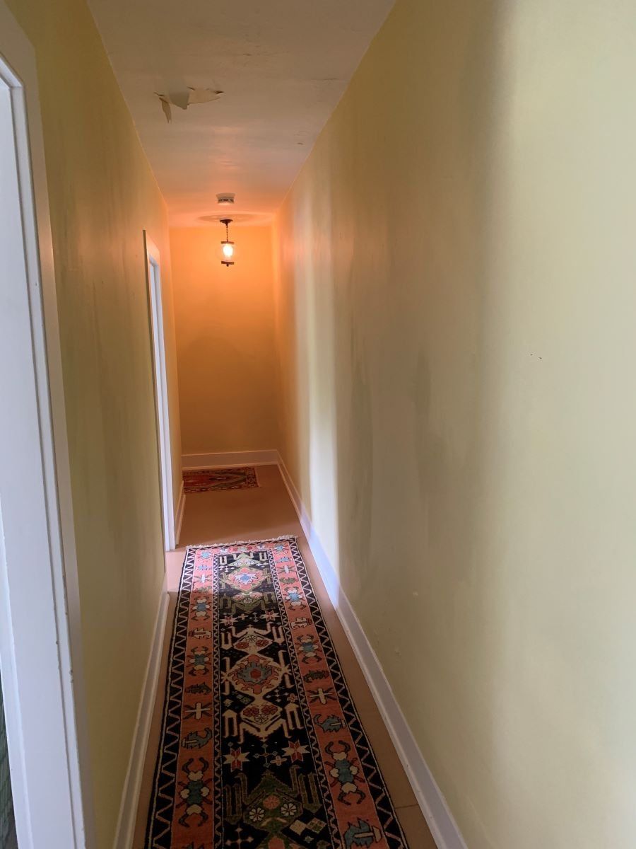 Plaster Repair