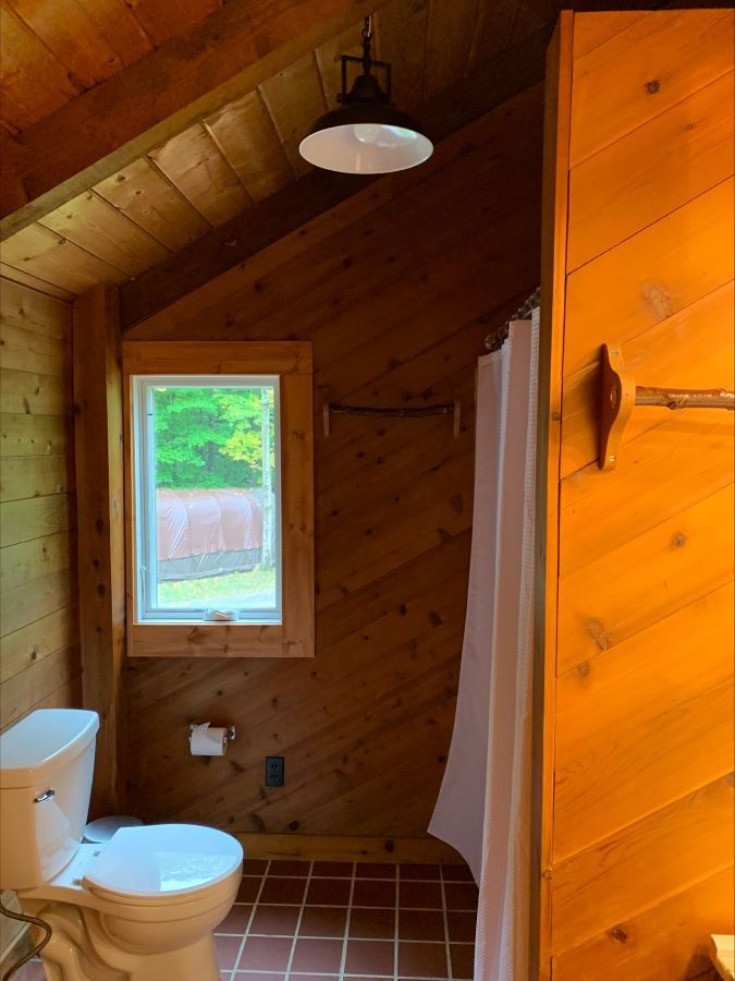 A bathroom with a toilet , shower and window.