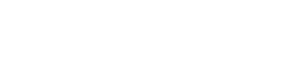 Company Logo - Footer