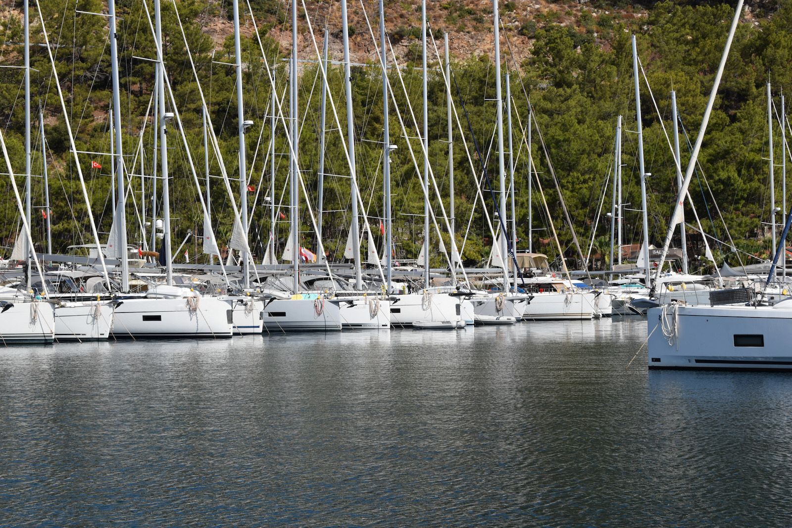 Marti Marina