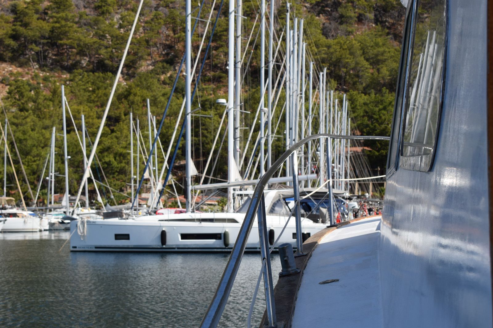 Marti Marina