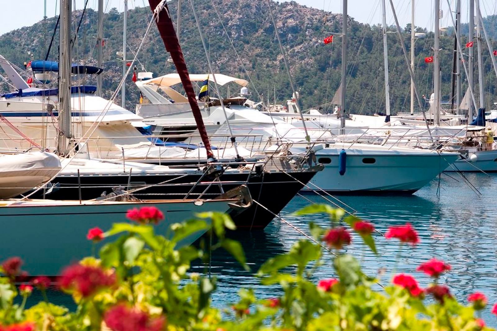Marti Marina