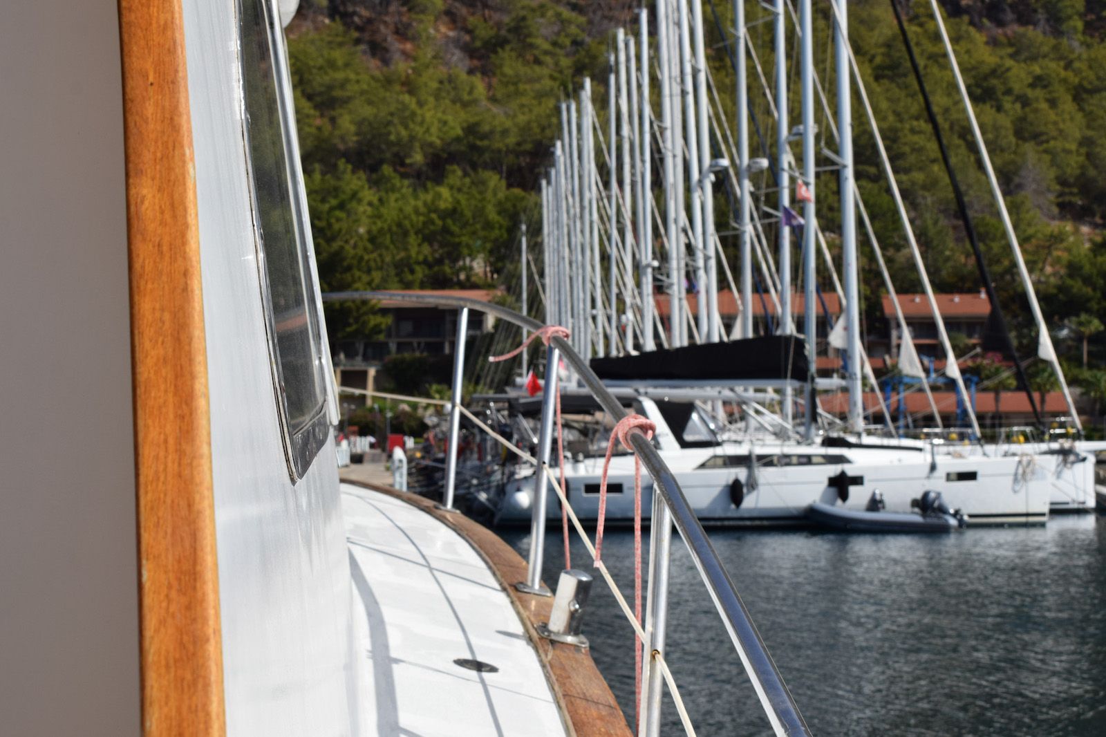 Marti Marina