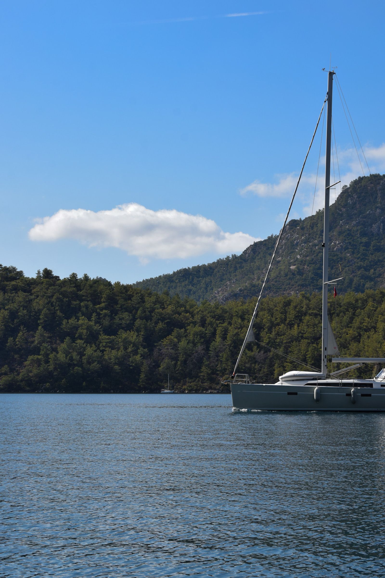 Marti Marina
