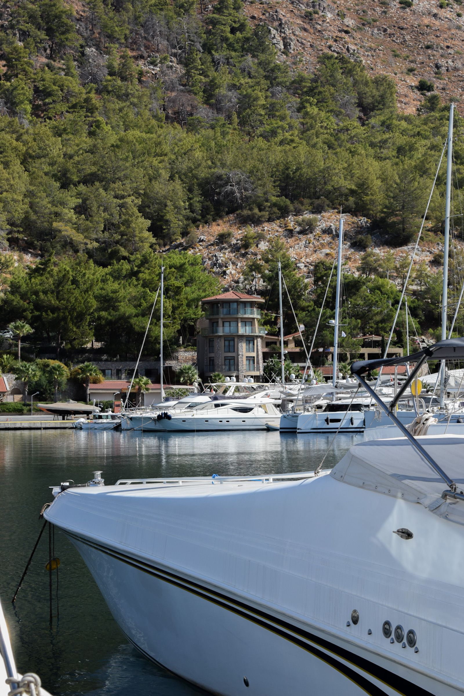 Marti Marina