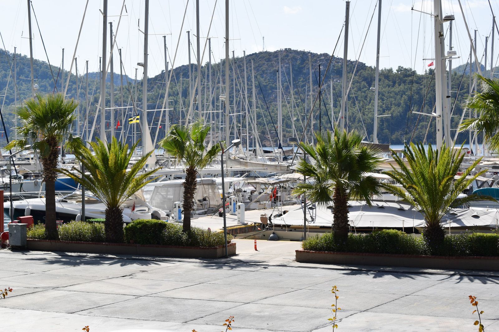 Marti Marina