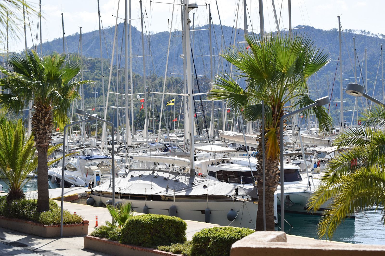 Marti Marina