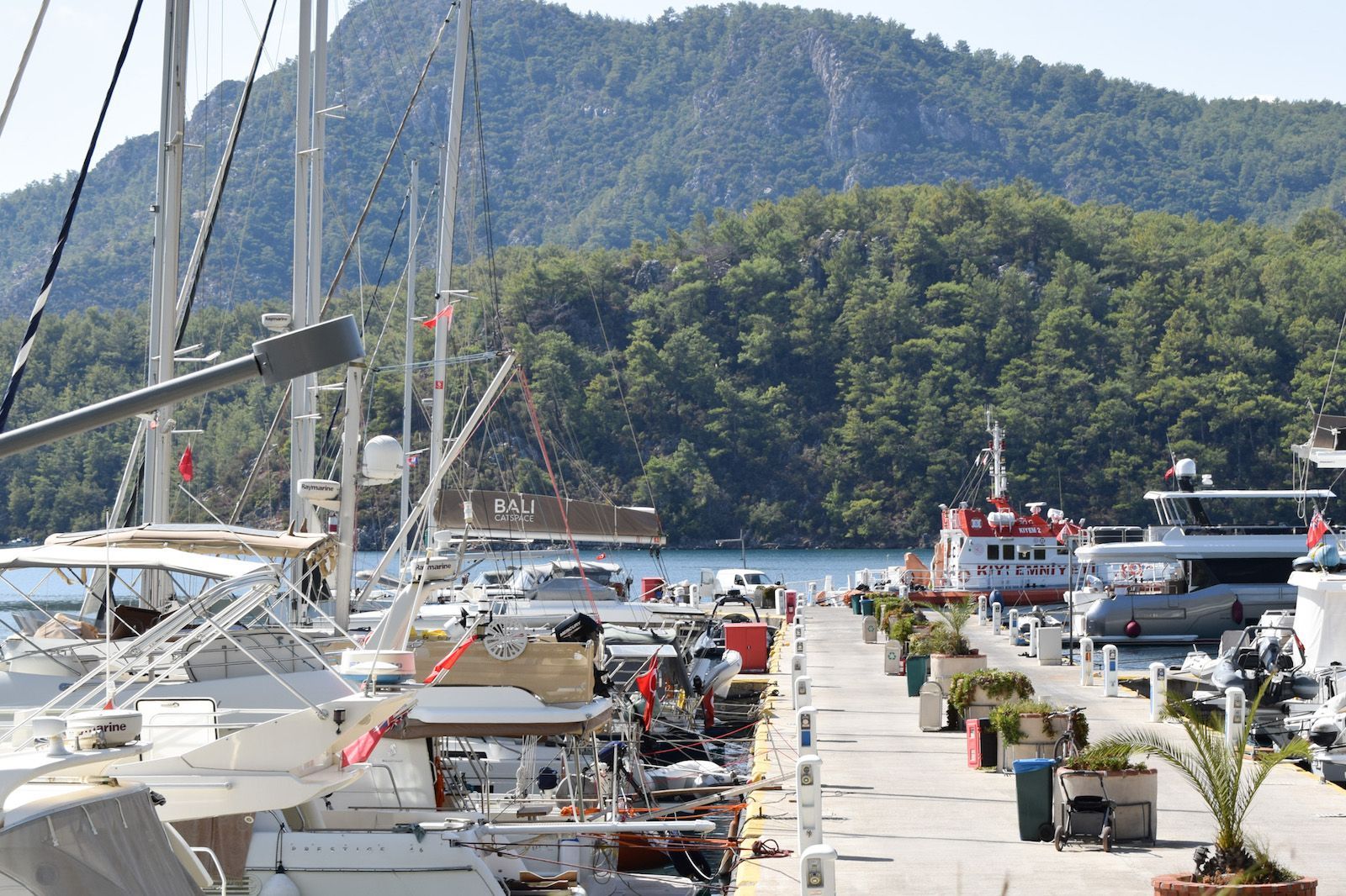 Marti Marina