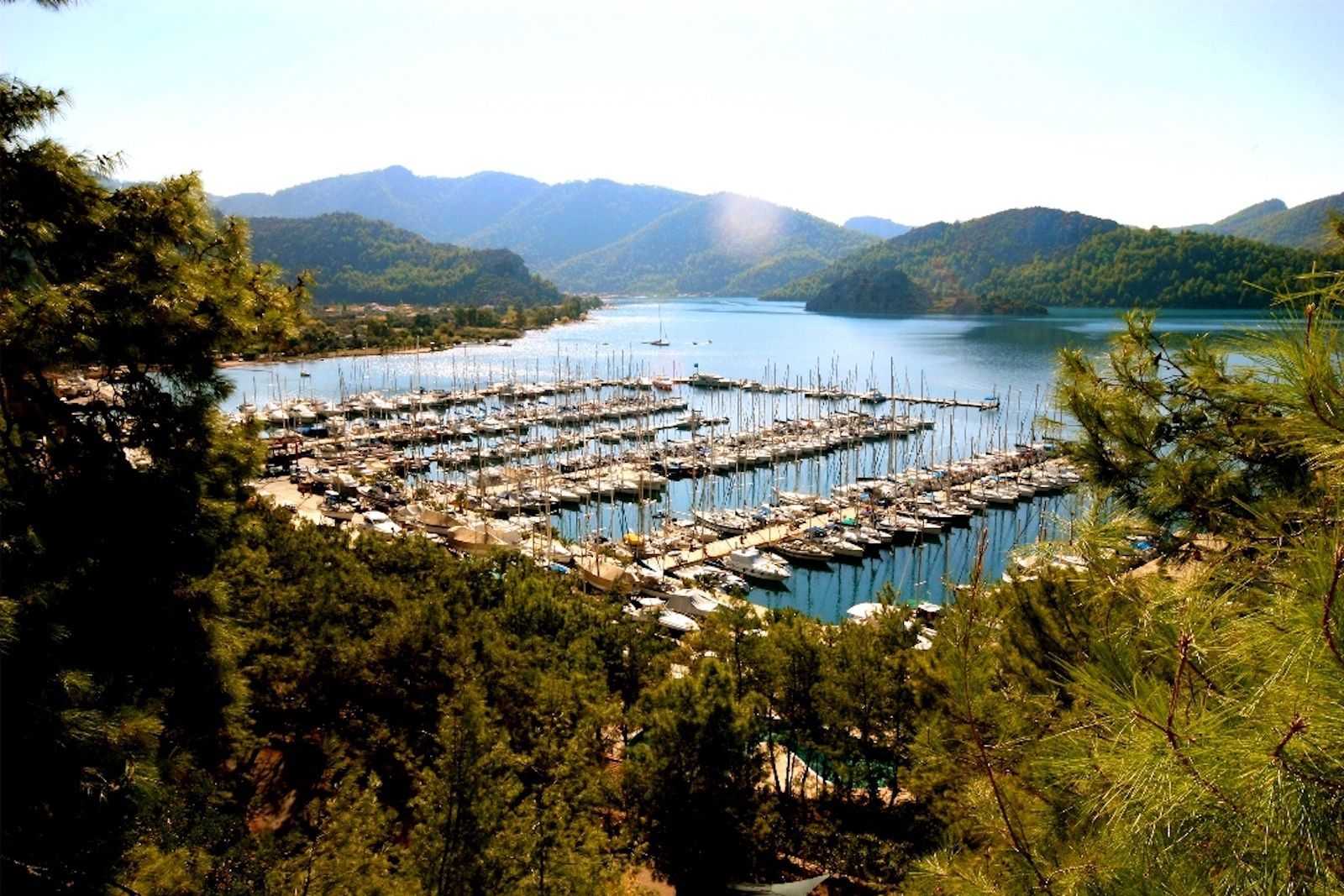 Marti Marina