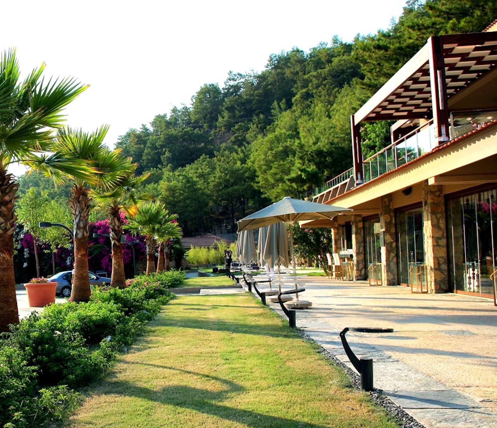 Marti Marina