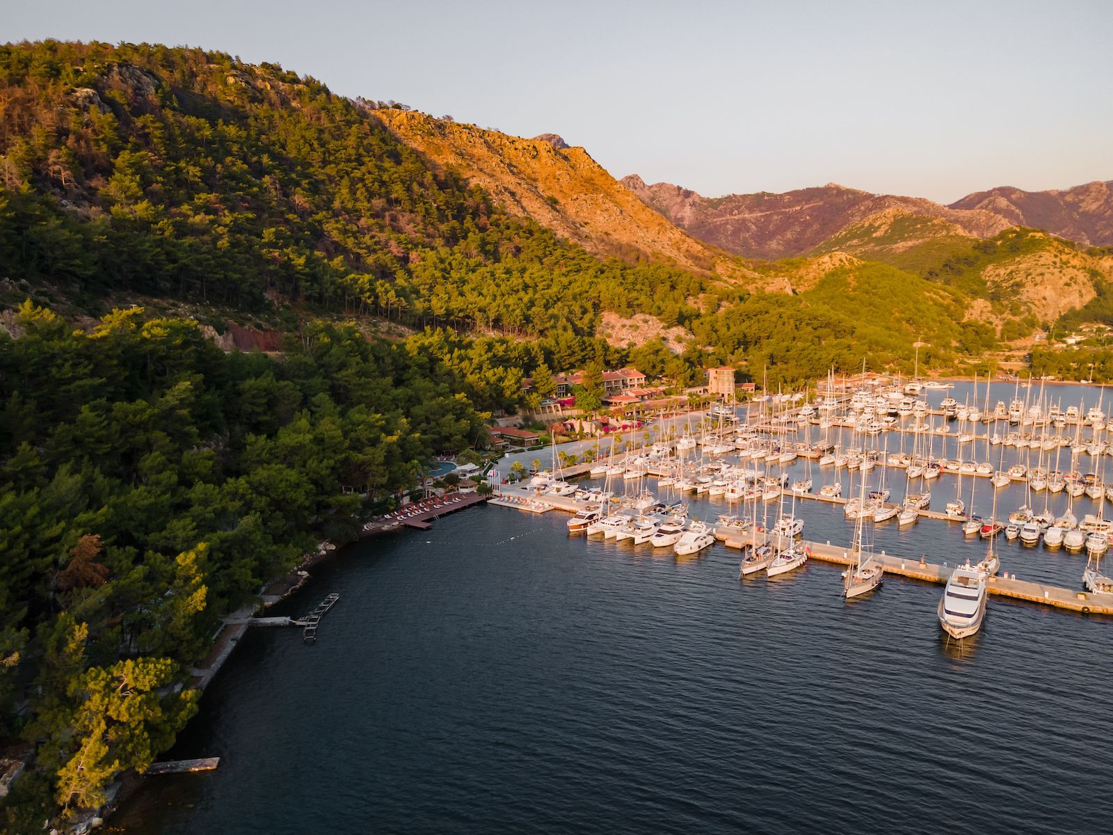 Marti Marina