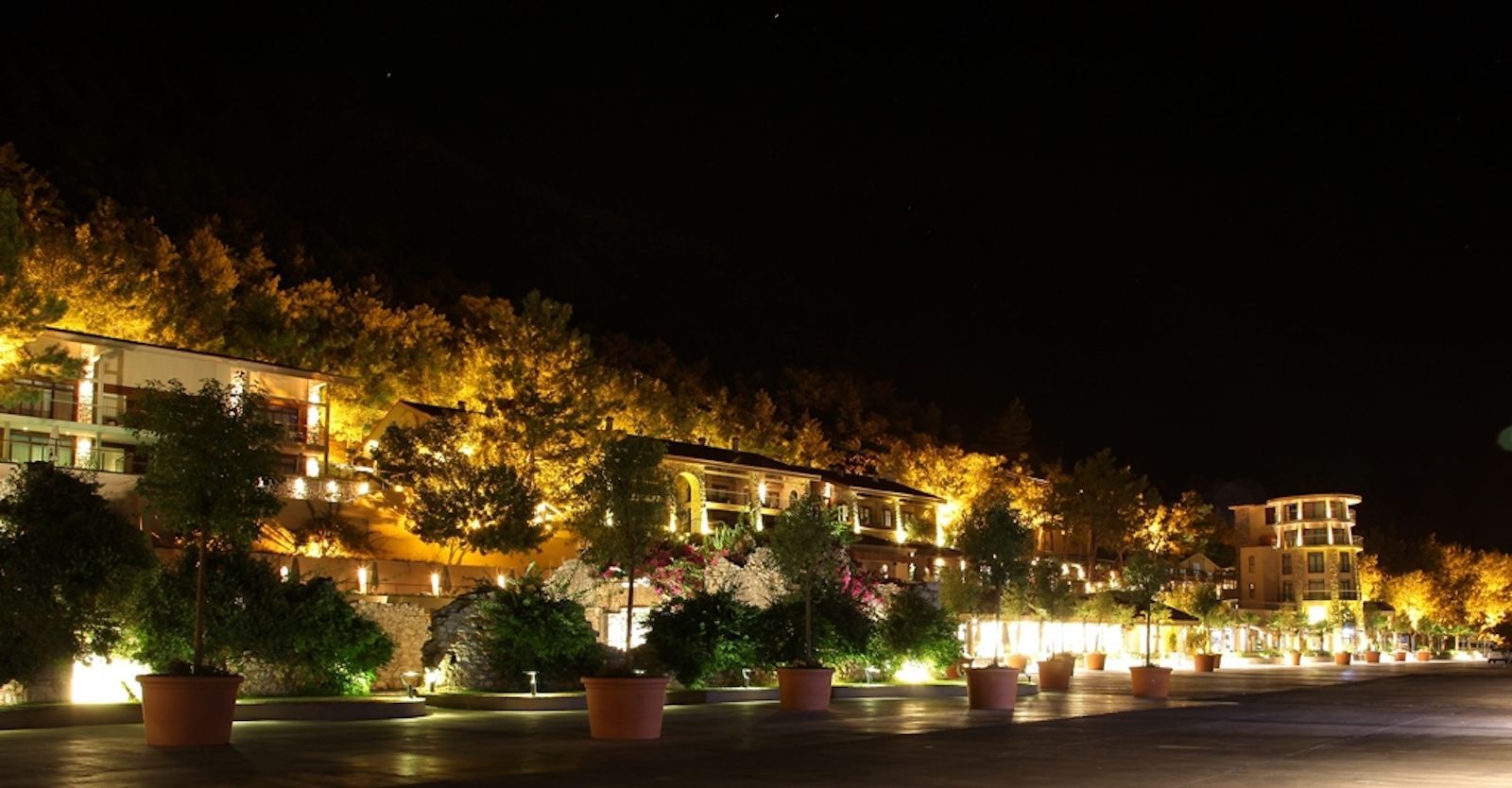 Marti Marina